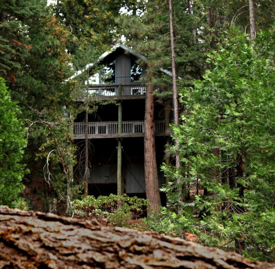 Tree House Lodge 요세미테 웨스트 외부 사진